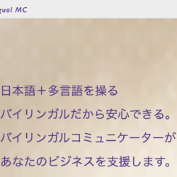 バイリンガルサービス(売却済)/ Bilingual HR agent (business sold)