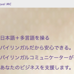 バイリンガルサービス(売却済)/ Bilingual HR agent (business sold)