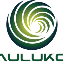 クムフラマネージメント(契約終了)/ Hula education center management (Contract ended)