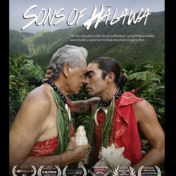 ビデオ日本語字幕・日本国内流通販路管理 / Video JP subtitles, sales in Japan